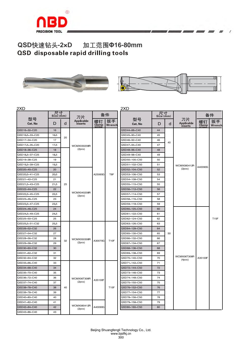 section-p300.jpg